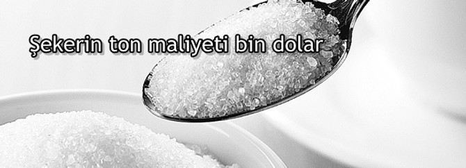 Şekerin ton maliyeti bin dolar