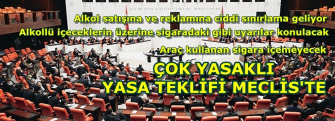 Berber'in 'sert' teklifi Meclis Başkanlığı'nda