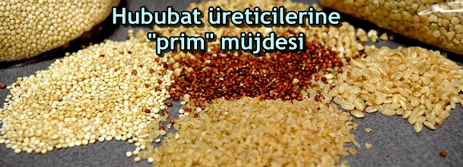 Hububat üreticilerine "prim" müjdesi