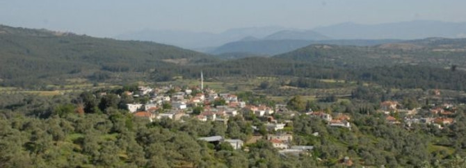 Muğla'ya dördüncü termik santral kuruluyor