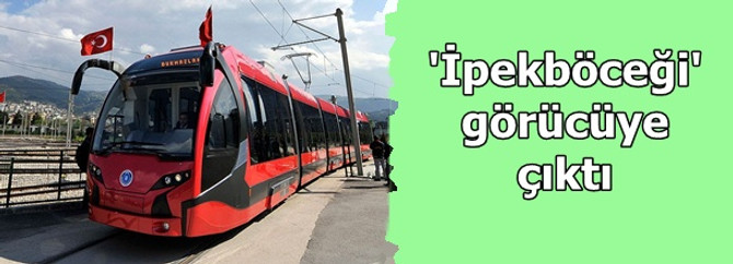 İpekböceği görücüye çıktı