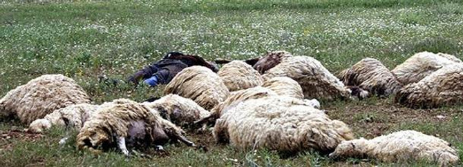 Yıldırım bu kez Maraş'ta iki can aldı