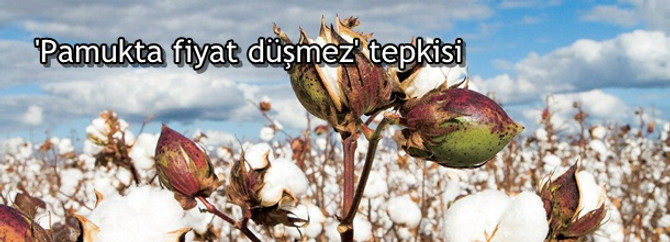 'Pamukta fiyat düşmez' tepkisi