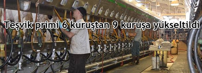 Teşvik primi 6 kuruştan 9 kuruşa yükseltildi