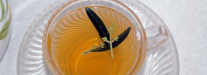 "Zeytin yaprağı çayı"nı 8 ülkeye ihraç ediyorlar