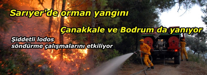 Sarıyer'de orman yangını