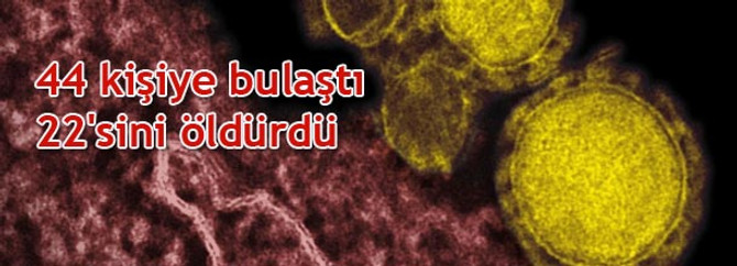 44 kişiye bulaştı, 22'sini öldürdü