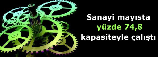 Kapasite kullanımı mayısta yüzde 74,8 oldu