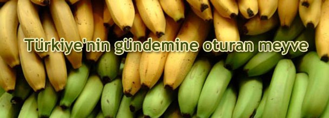Türkiye'nin gündemine oturan meyve