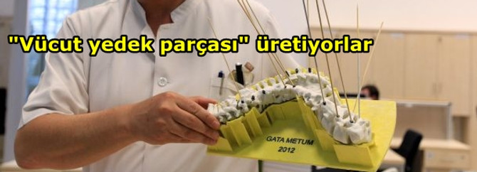 "Vücut yedek parçası" üretiyorlar