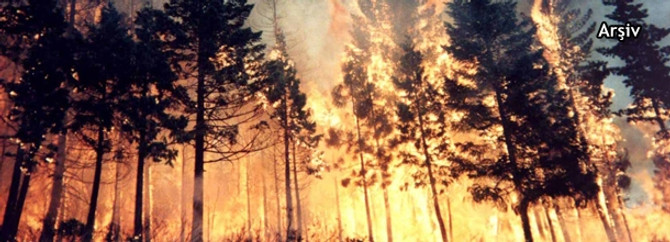 Hatay'da 120 hektarlık alan zarar gördü