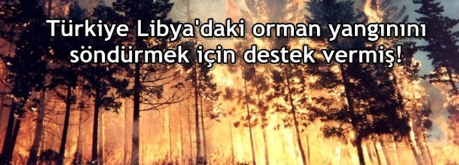 Türkiye iyi etti ama Bodrum'da da 300 hektar kül oldu