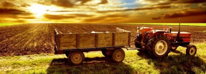 Tarımsal işletmelere 375 lira destek