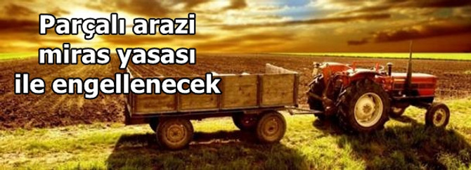 Tarım arazilerinde tek mirasçı dönemi