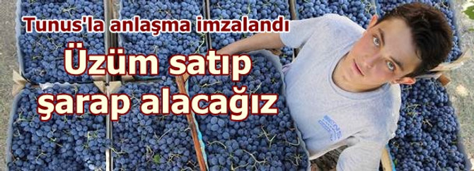 Üzüm satıp şarap alacağız