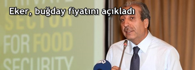 Buğday fiyatları açıklandı