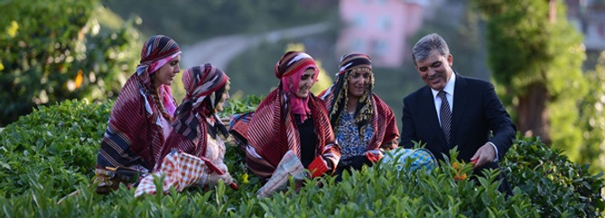 Gül 'çay'da
