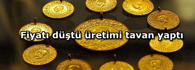 Fiyatı düştü üretimi tavan yaptı