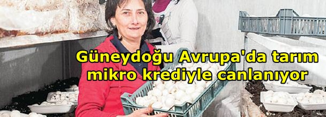 Güneydoğu Avrupa'da tarım mikro krediyle canlanıyor