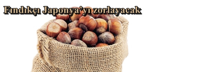 Fındıkçı Japonya’yı zorlayacak