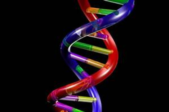 İnsanların DNA proteinlerini analiz edecekler