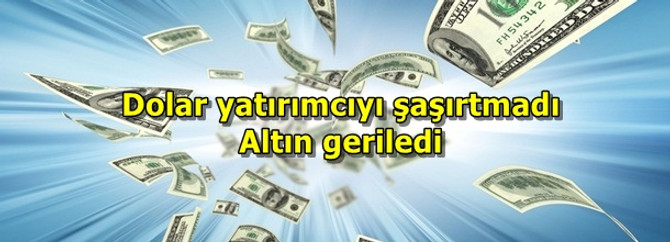 Dolar yatırımcıyı şaşırtmadı