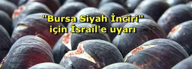 "Bursa Siyah İnciri" için İsrail'e uyarı