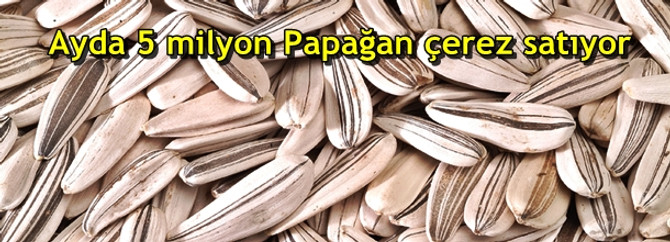 Ayda 5 milyon Papağan çerez satıyor