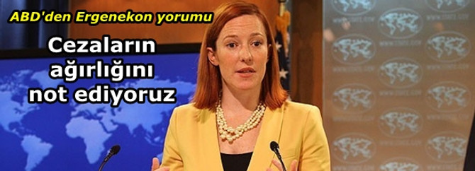 ABD'den Ergenekon yorumu
