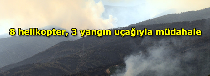 8 helikopter, 3 yangın uçağı ile müdahale sürüyor