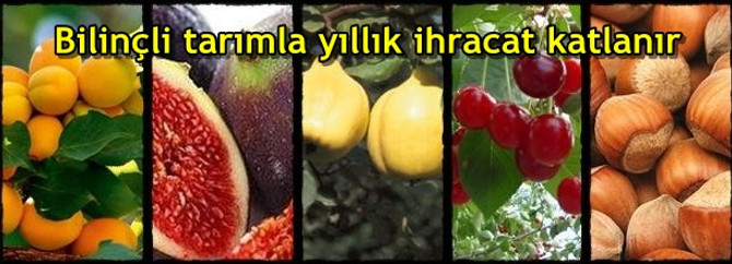 Bilinçli tarımla yıllık ihracat katlanır