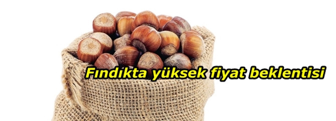 Fındıkta yüksek fiyat beklentisi