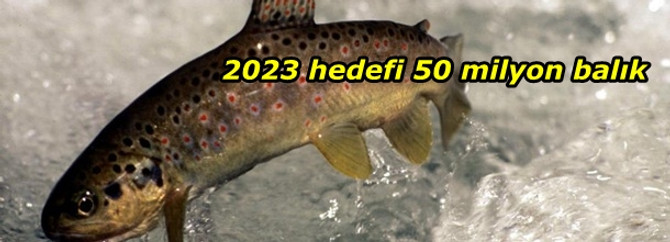 2023 hedefi 50 milyon balık