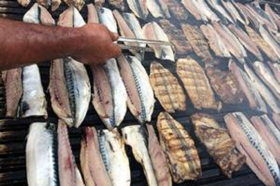 Haftada bir kez balık yemek hastalıklardan koruyor