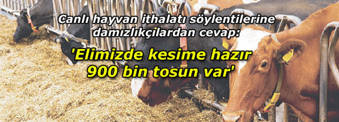 'Elimizde kesime hazır 900 bin tosun var'