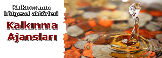 Kalkınmanın bölgesel aktörleri yazı dizisi başlıyor
