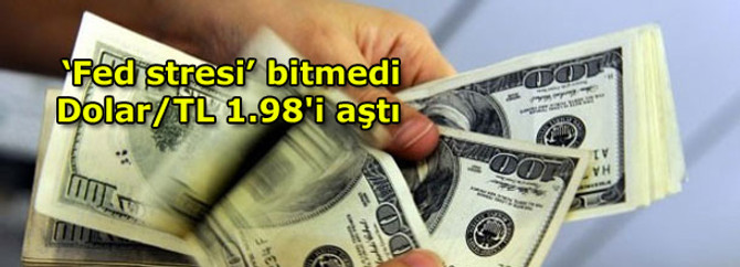 Dolar/TL 1.98'e dayandı