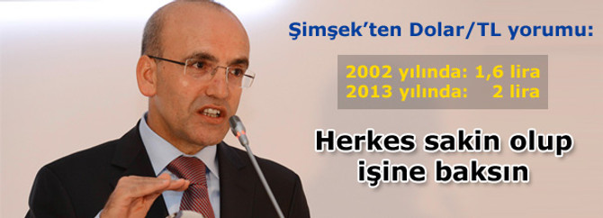 Şimşek: Dolardaki yükseliş abartı değil