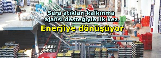 Sera atıkları kalkınma ajansı desteğiyle ilk kez enerjiye dönüşüyor