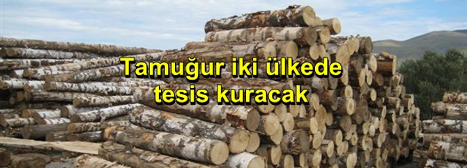 Tamuğur, Bulgaristan ve Romanya'da tesis kuracak