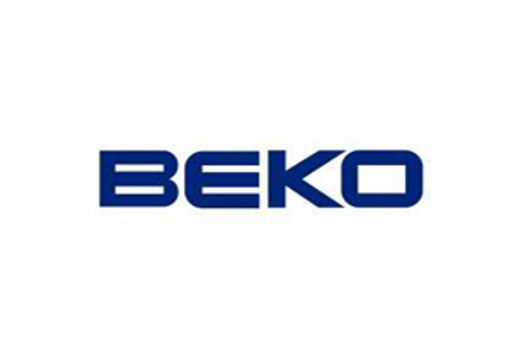 BEKO LLC 'yılın şirketi' seçildi