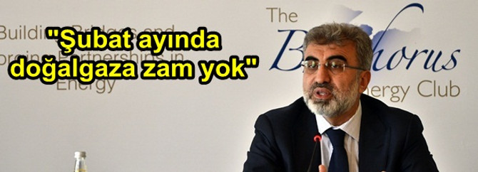"Şubat ayında doğalgaza zam yok"