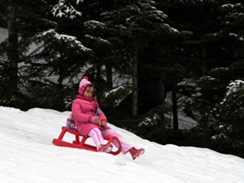 Ilgaz'daki oteller, yılbaşı öncesinde doldu