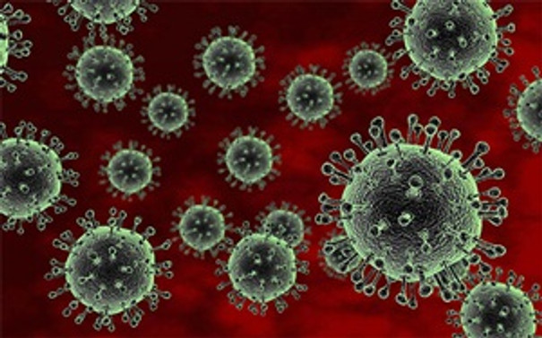 Batı Afrika'daki Ebola virüsü