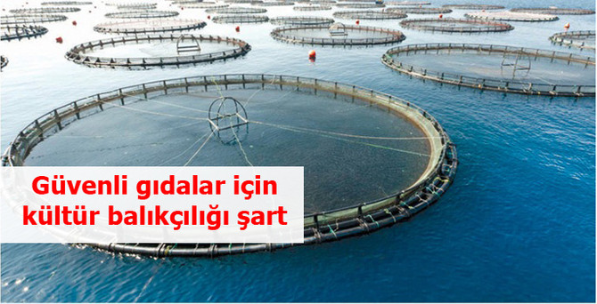 Güvenli gıdalar için kültür balıkçılığı şart