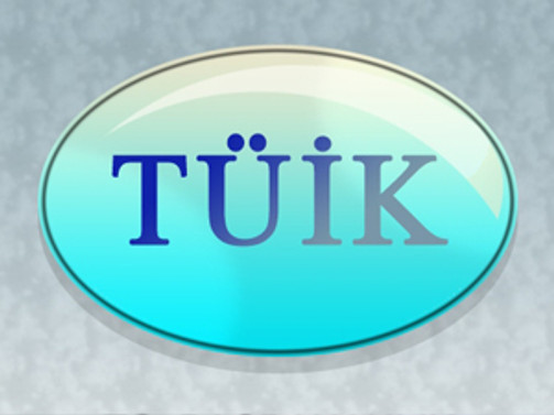 TÜİK'ten "e-öğrenme" modülü
