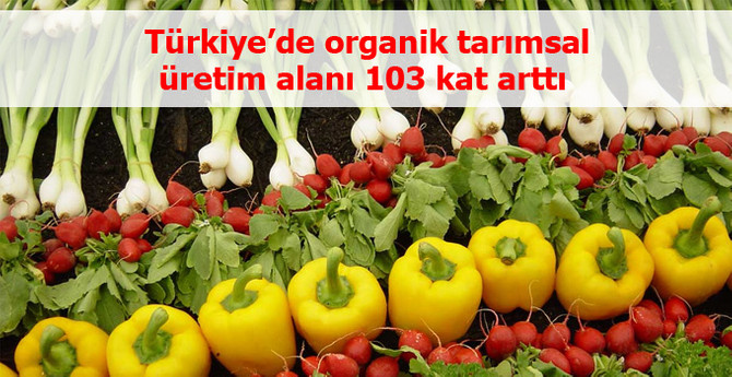 Organik tarımsal üretim alanı 103 kat arttı