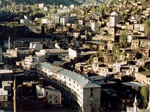 Bitlis'te 5 parti birleşme kararı aldı