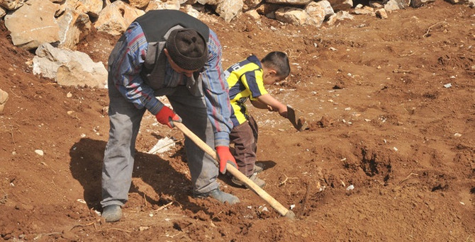 Çözüm süreci, toprağın bereketini artırdı