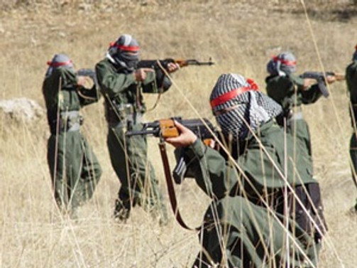 Şırnak'ta iki terörist teslim oldu